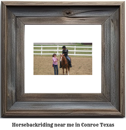 horseback riding near me in Conroe, Texas